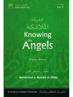 Knowing the Angels